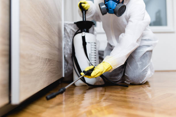 Pest Control Cost in Mill City, OR