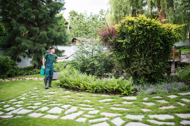 Best Wildlife Control Services  in Mill City, OR