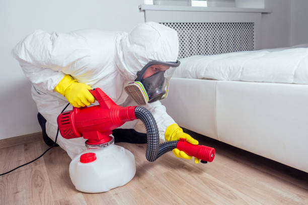 Trusted Mill City, OR Pest Control Experts