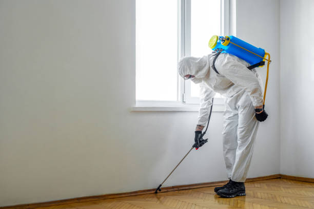 Best Pest Inspection Near Me  in Mill City, OR
