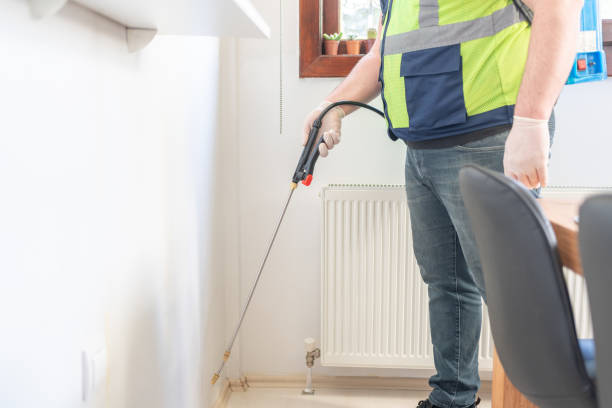 Best Ant Control Services  in Mill City, OR