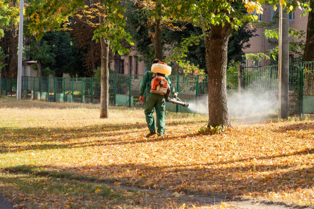 Best Rat Extermination Near Me  in Mill City, OR
