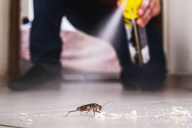 Best Pest Control for Businesses  in Mill City, OR