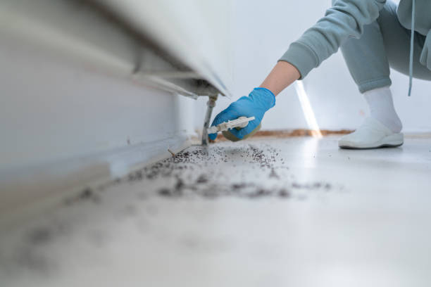 Best Affordable Pest Control Services  in Mill City, OR